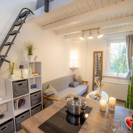 شقة Tiny Loft Harz سانكت اندرياسبرغ